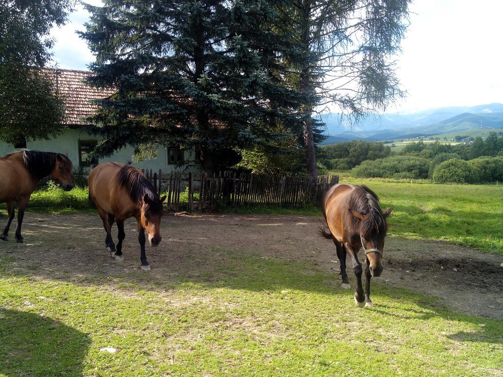 Kozí Dvor Rohozná Brezno Exterior foto