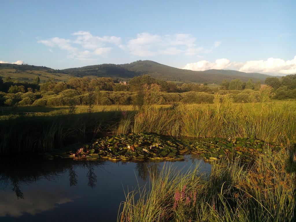 Kozí Dvor Rohozná Brezno Exterior foto