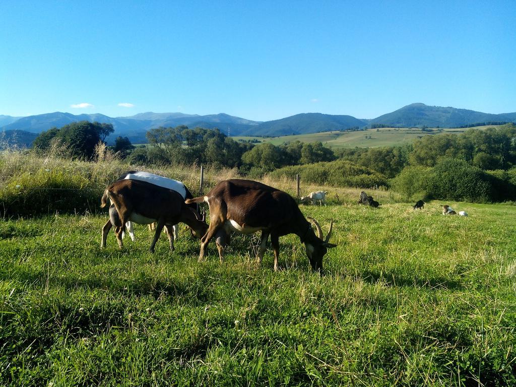Kozí Dvor Rohozná Brezno Exterior foto